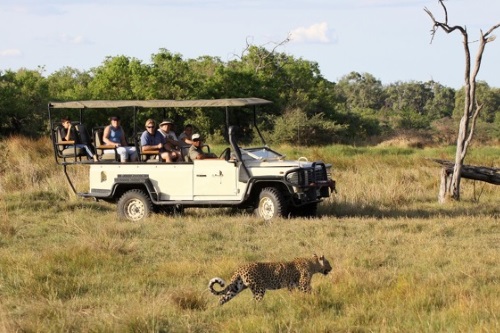 Sango Safari Camp gamedrive 001